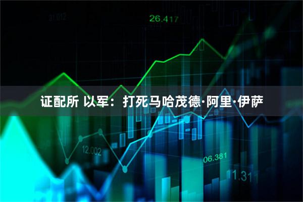 证配所 以军：打死马哈茂德·阿里·伊萨